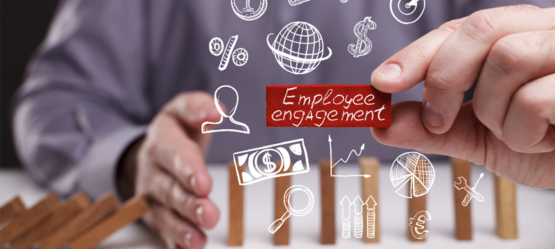 employee engagement strategies, hr leaders, employees, hr